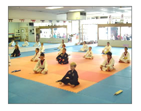 Tae Kwon Do 